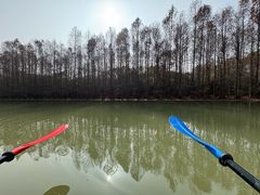 -上海海湾国家森林公园