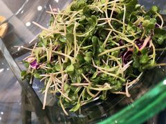 -新光酒家·河豚·海鲜·蟹料理(浦东店)