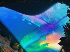 -珠海长隆海洋王国