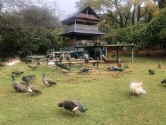 -昆明动物园