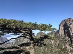 -黄山风景区