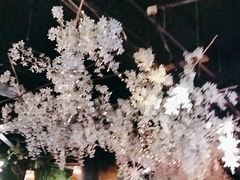 -小花花炭火烤肉·十五年延吉风味(左家庄店)