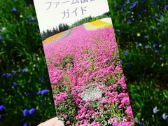 富田农场-富田农场