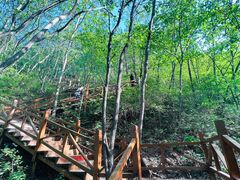 -大岭沟猕猴桃谷风景区