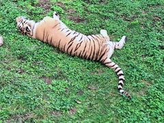 -西安秦岭野生动物园