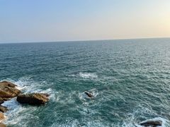 -广东惠东海龟国家级自然保护区