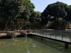 -揭东万竹园旅游景区