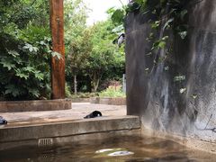 -华侨城阳宗海海景温泉