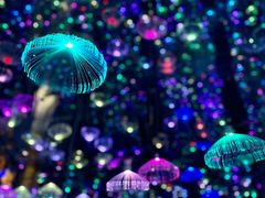 -梵高星空艺术馆(北京旗舰店)