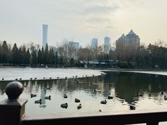 -团结湖公园