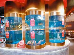 -蜀滋香鲜鱼美蛙火锅(339店)
