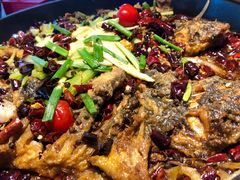 -老板恋上鱼(恒隆广场店)