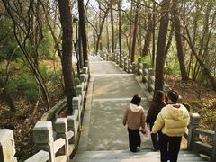 -灵岩山风景区