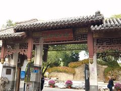 -团结湖公园