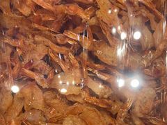 -水一方现烤鱿鱼丝大连特产(高新苏宁百货店)