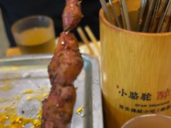 -福苗小骆驼烧烤(莲湖路店)