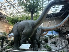 -国家自然博物馆