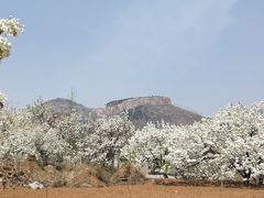 -红嫂家乡旅游区