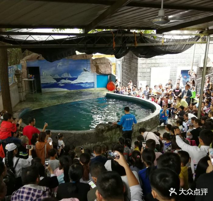 蠡湖中央公园海底世界图片 - 第6张