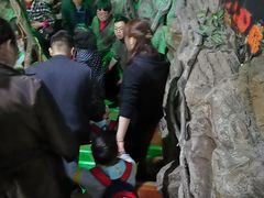 -上海大自然野生昆虫馆(东方明珠·爬宠昆虫探索中心)