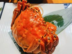 -九酢·海鲜居酒屋