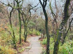 -杭州半山国家森林公园