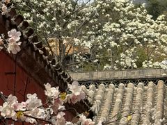 -潭柘寺景区