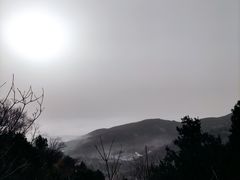 -香山公园