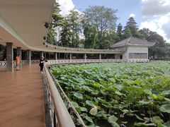 -荔湾湖公园