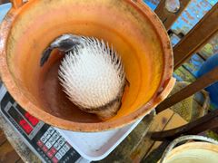 -蓝湾碧波·老字号·疍家非遗海上餐厅