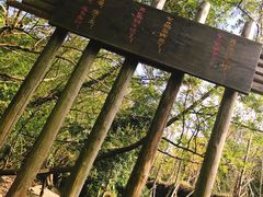-东海大峡谷