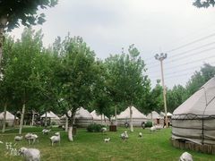 -九十九顶毡房(阜石路店)