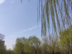 -丰台科技园生态主题公园