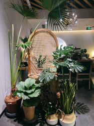 -芳香乐府SPA·五行芳疗