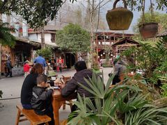 -青城甲(青城山店)