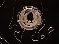 -盘龙城国家考古遗址公园