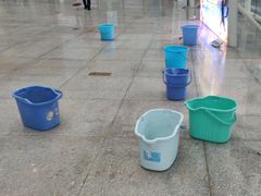 -广西体育中心-游泳馆