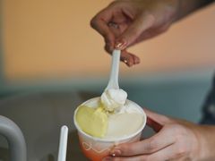 -Dip in Gelato(富民路店)