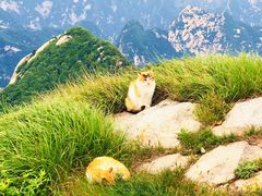 -华山风景名胜区