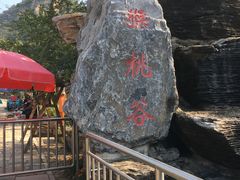 -大岭沟猕猴桃谷风景区