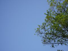 -南京老山国家森林公园