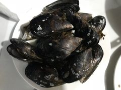 -阿军排档·烧烤