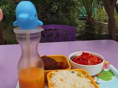 -南宫五洲植物乐园