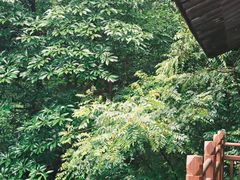 -黄公望隐居地