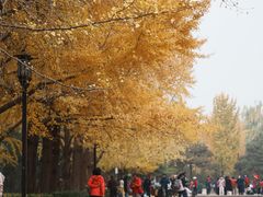-玲珑塔公园
