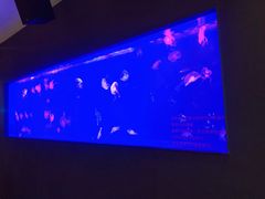 大堂-暹罗泰·泰国餐厅(仁和新城店)
