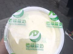 -德禄酸奶(莫家街店)
