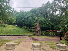 -王借岗森林公园