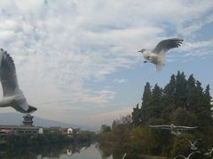 -乡村小榭饭店