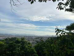 -仙岳公园